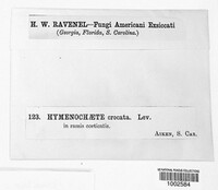 Image Associated With the Occurence